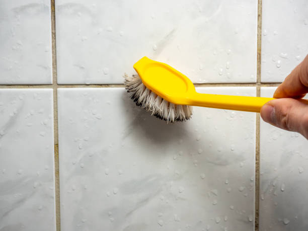 Best Attic Mold Removal  in Miles, TX