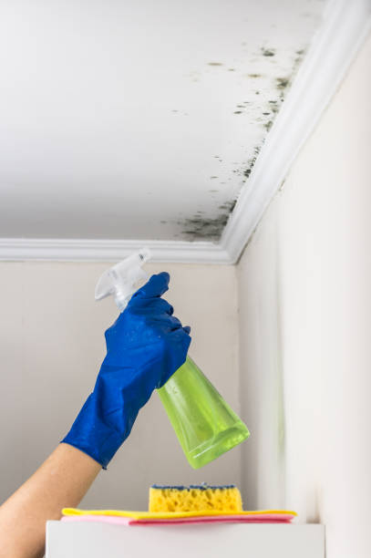 Best Mold Testing  in Miles, TX